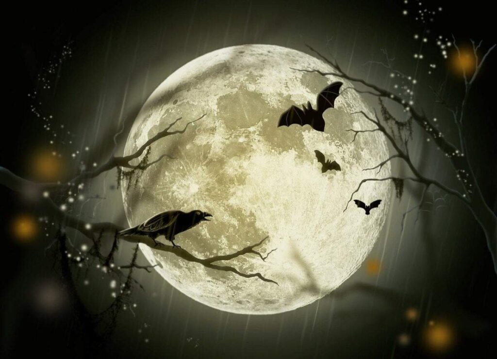 Eve Red: Halloween: Szabadság