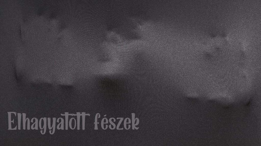 Joó László: Elhagyatott fészek