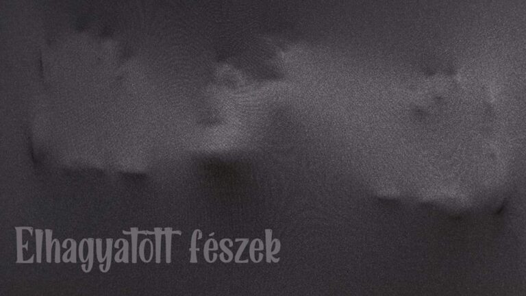 Joó László: Elhagyatott fészek